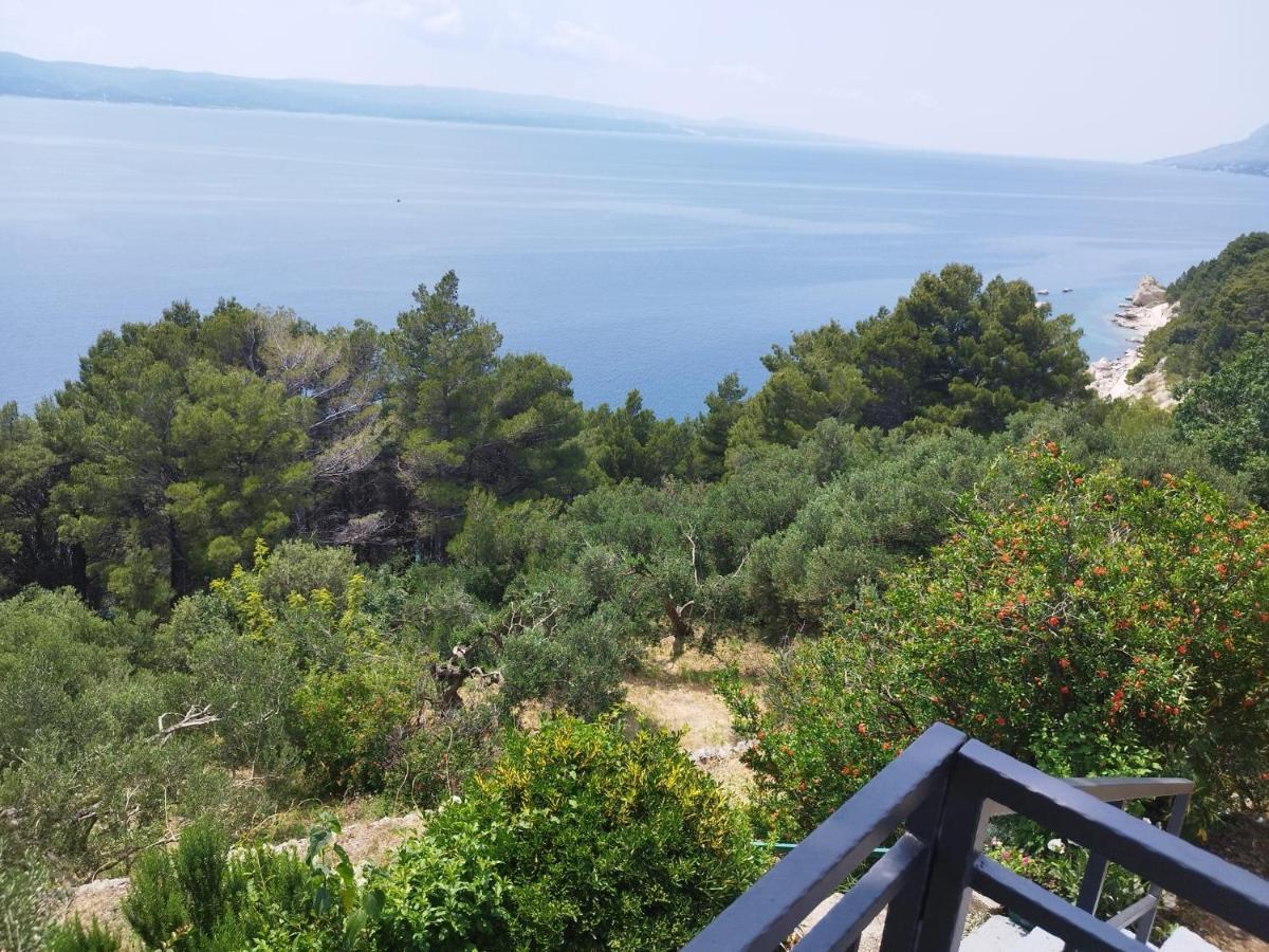 Apartments Mare - 150 M From Beach Brela Exterior photo